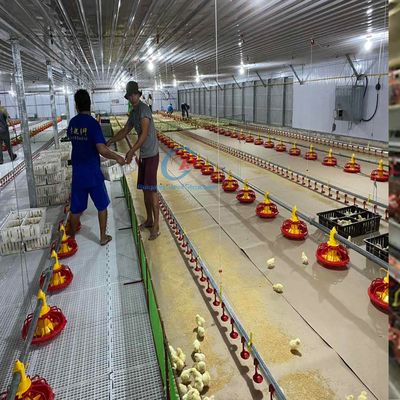 आधुनिक Q235 Q345 स्टील संरचना कुशल खेती के लिए पोल्ट्री हाउस