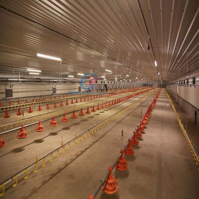 इकोनॉमिक स्टील बिल्डिंग्स कस्टमाइज्ड स्टील फ्रेम बिल्डिंग निर्माण