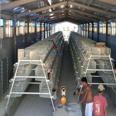 अनुकूलित इस्पात संरचना पोल्ट्री हाउस डेयरी फार्म के लिए अग्निरोधी