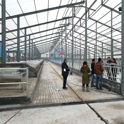हल्की स्टील संरचना गाय का बगीचा पूर्वनिर्मित स्टील फ्रेम खेत की इमारतें