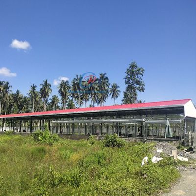 बकरी / भेड़ के लिए उच्च शक्ति ऊर्जा कुशल इस्पात भवन