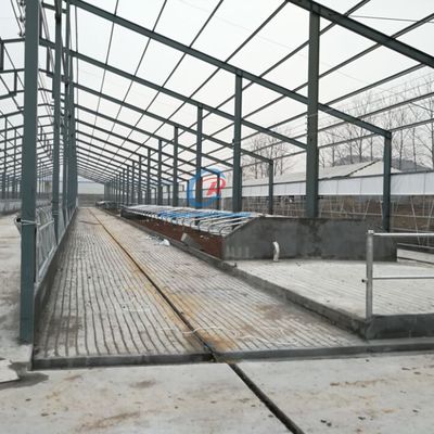 टिकाऊ इरेक्टिंग स्टील फ्रेम बिल्डिंग कस्टम स्टील फ्रेम फार्म बिल्डिंग