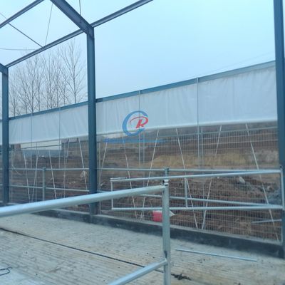 स्टील धातु शेड निर्माण, डेयरी फार्म के लिए प्रीफैब स्टील शेड